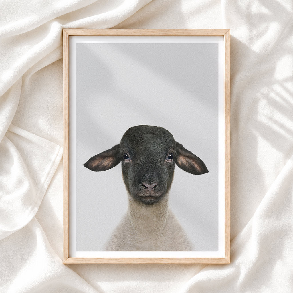 Suffolk Sheep Nursery Print - Cute Farmyard Wall Art for Toddlers