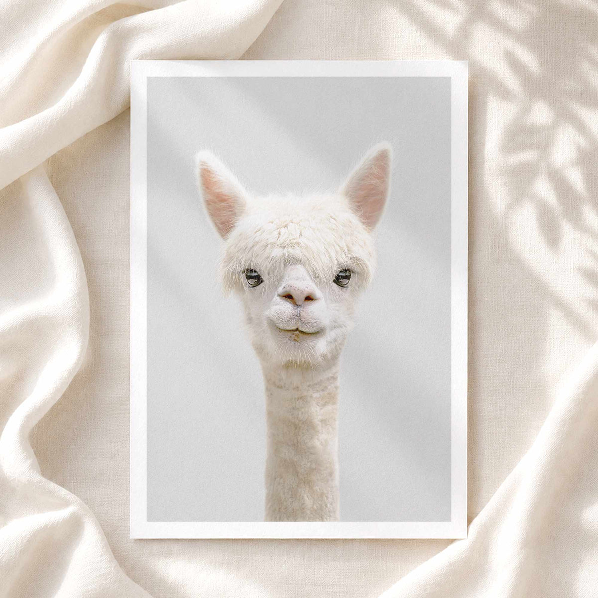 Alpaca - Nursery Animal Print