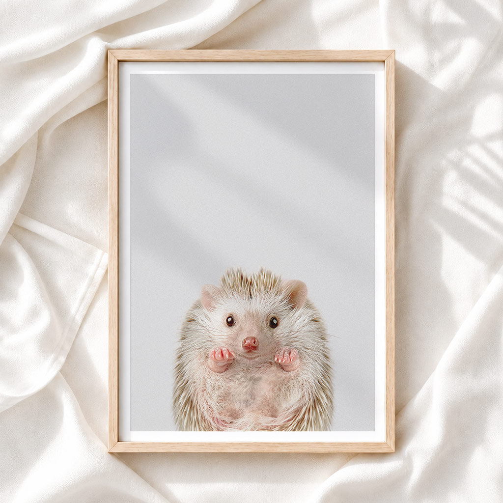 Baby Hedgehog - Nursery Animal Print