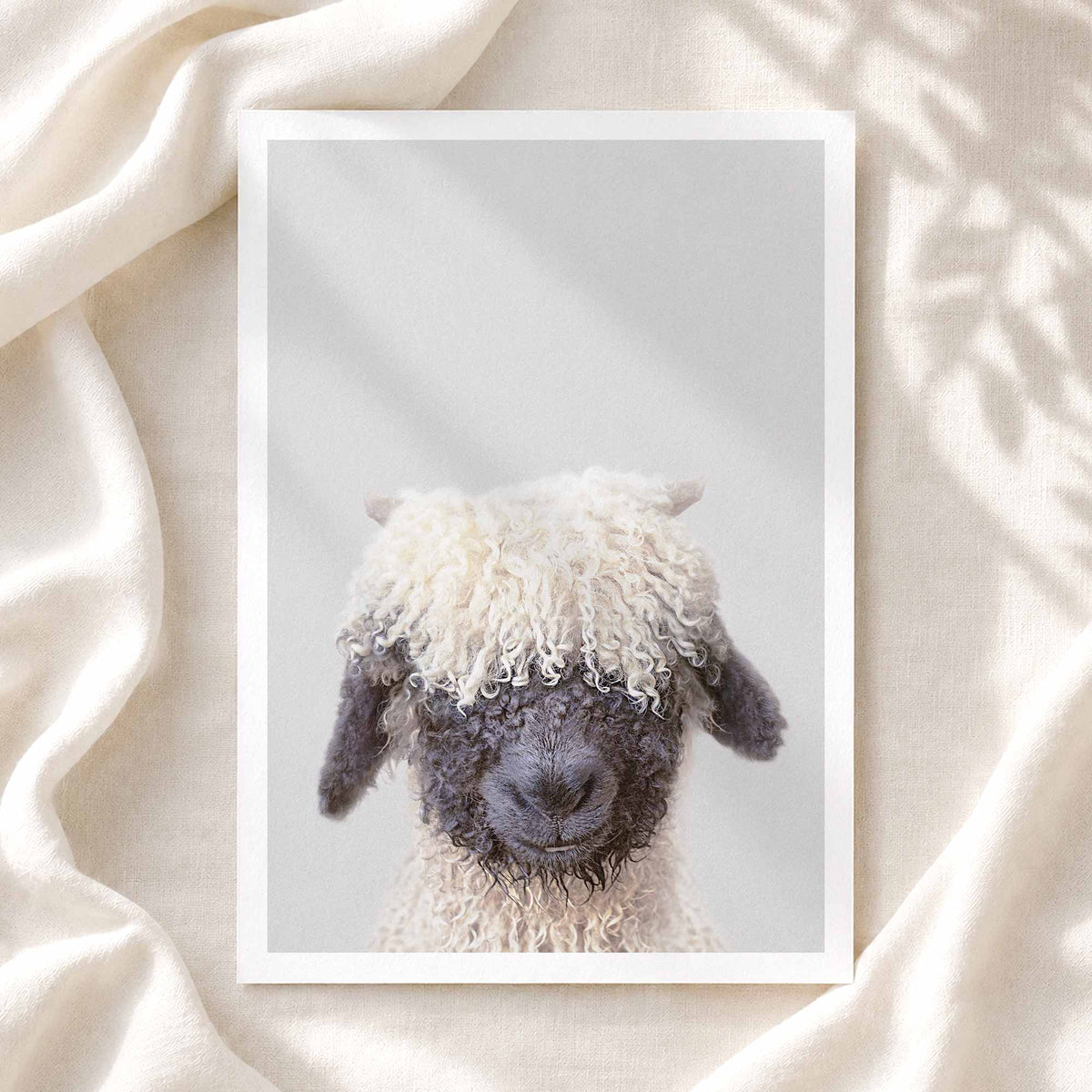 Black Nose Sheep - Nursery Animal Print