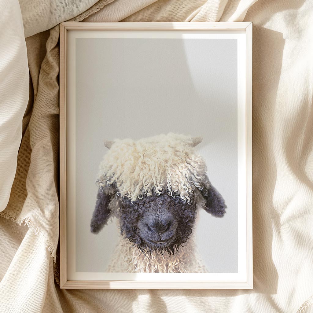 Black Nose Sheep Nursery Print - Cute Farmyard Animal Art for Nurseries