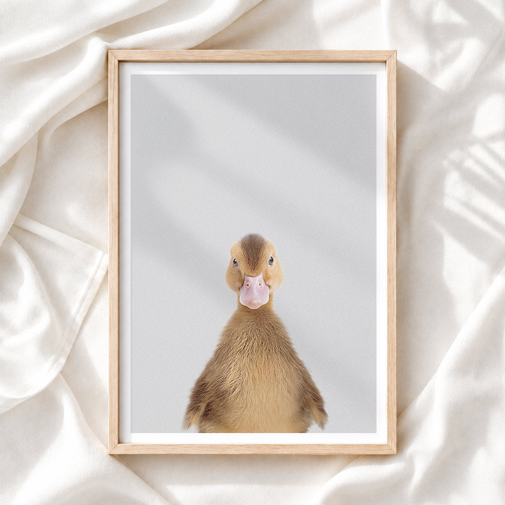 Brown Duckling - Nursery Animal Print