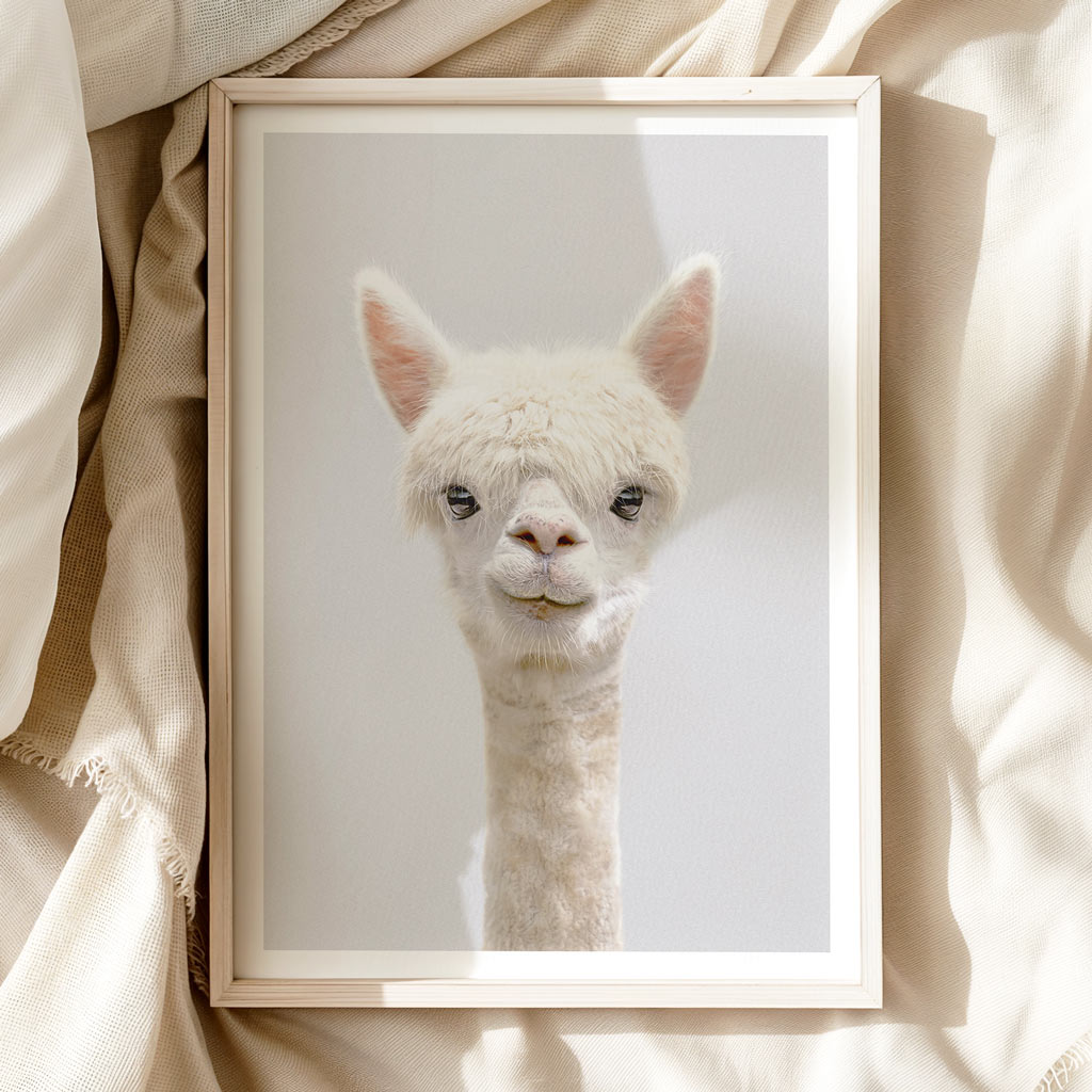 Alpaca Nursery Print - Gentle Farm Animal Wall Art for Kids