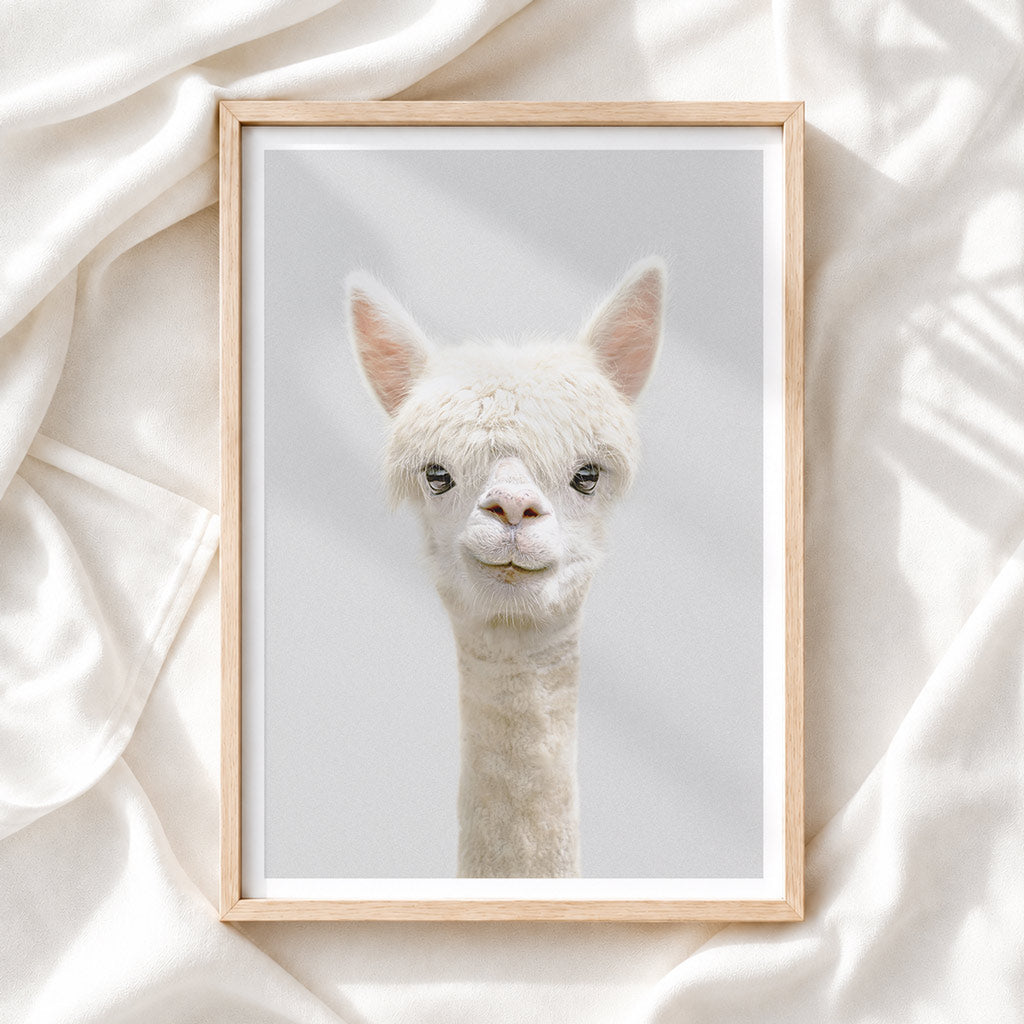 Alpaca Nursery Print - Gentle Farm Animal Wall Art for Kids