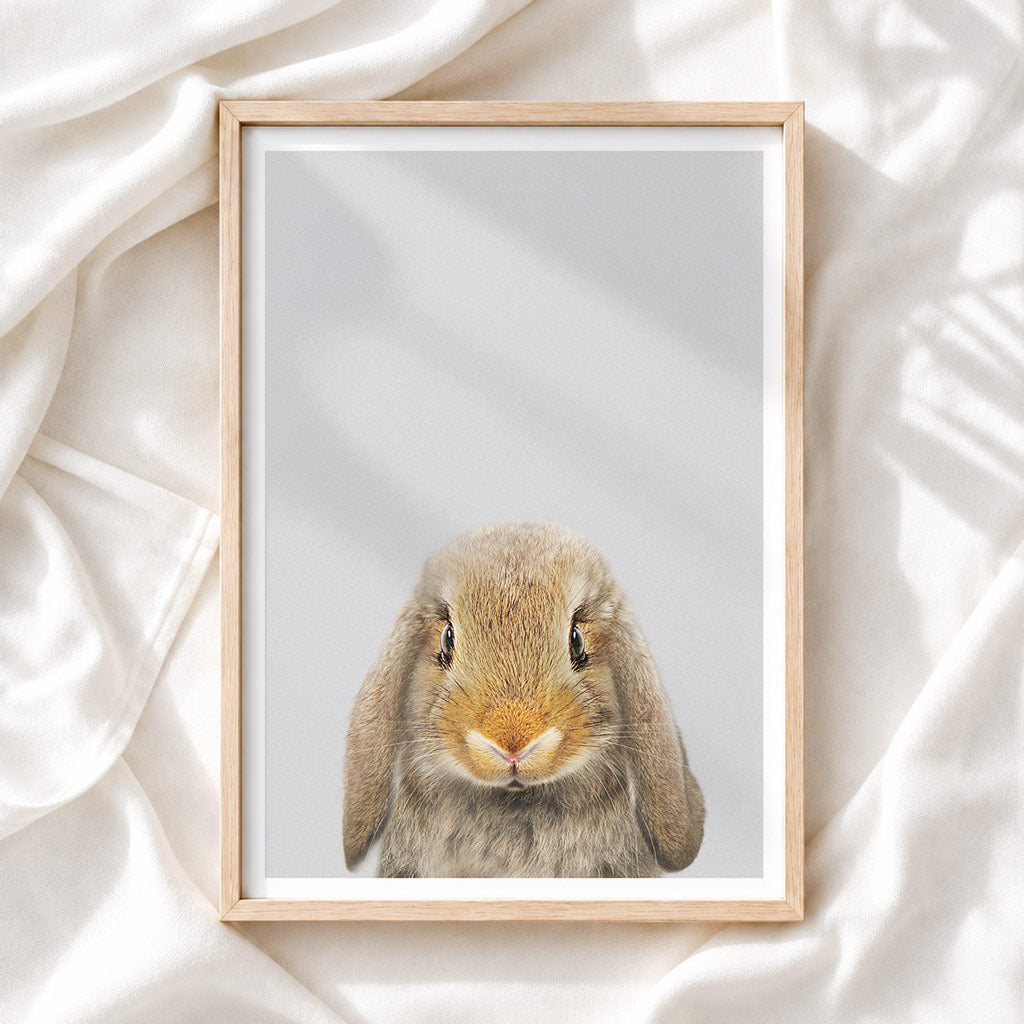 Lop Rabbit - Nursery Animal Print