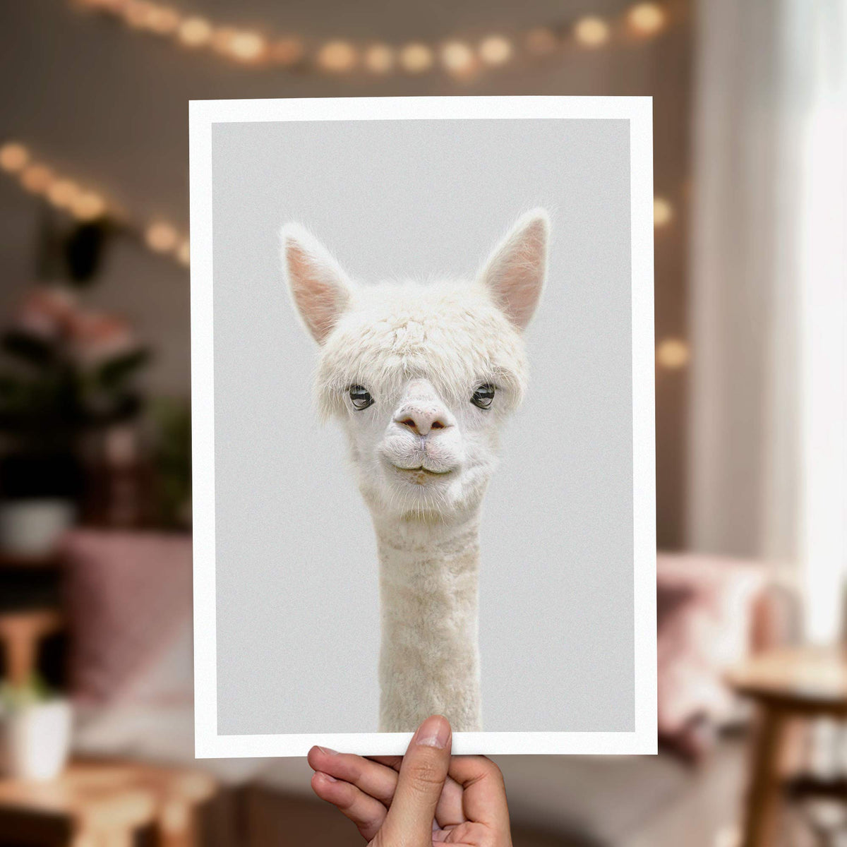 Alpaca - Nursery Animal Print