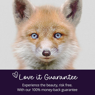 Fox Art Print