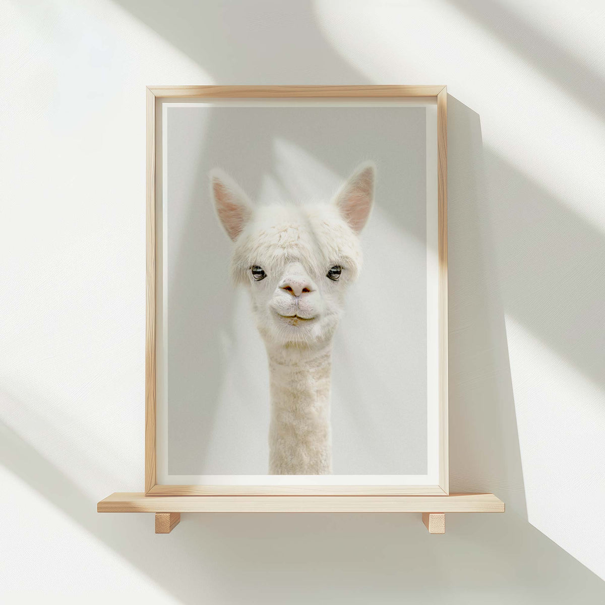 Alpaca - Nursery Animal Print