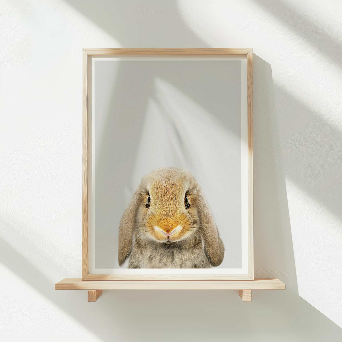 Lop Rabbit - Nursery Animal Print