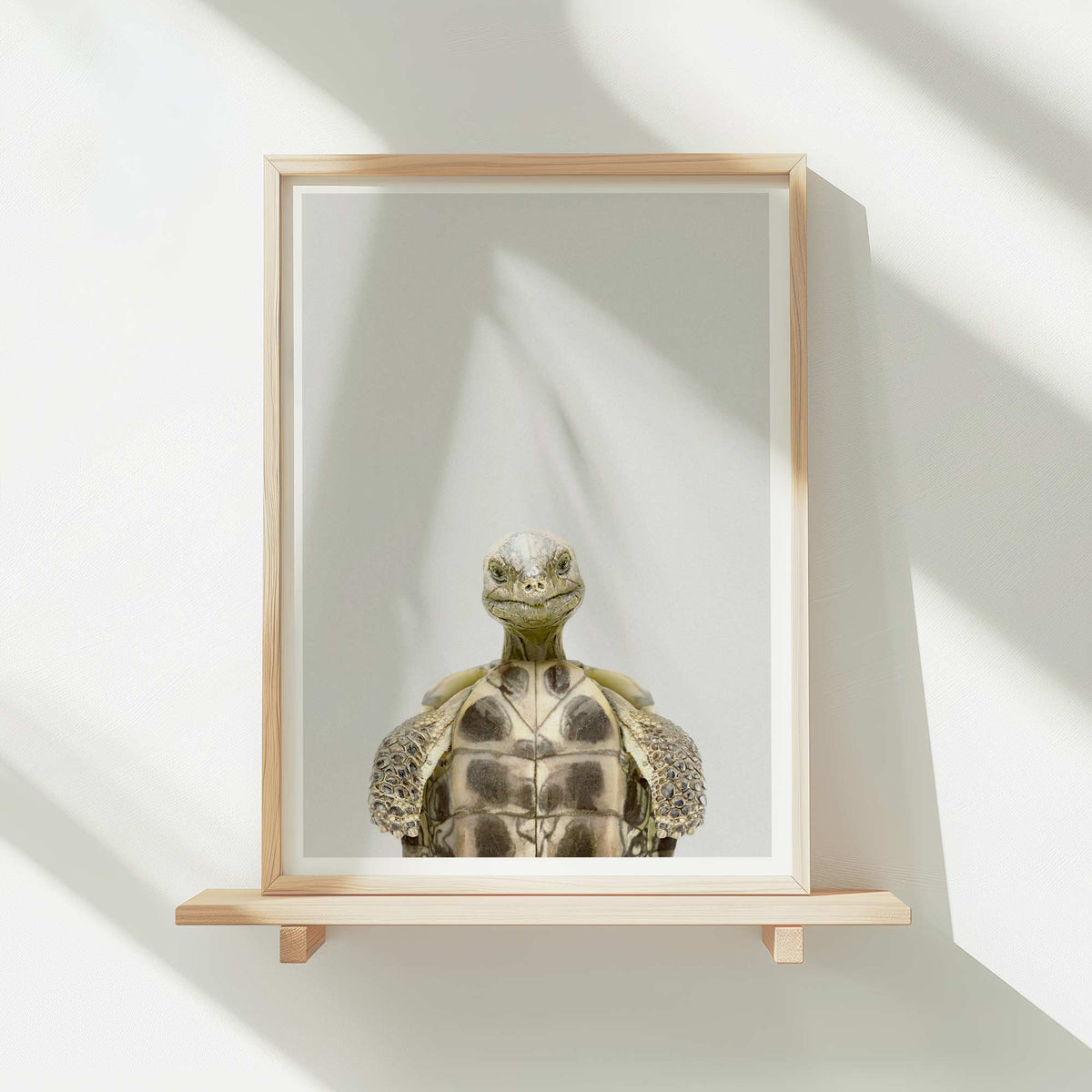 Tortoise - Nursery Animal Print