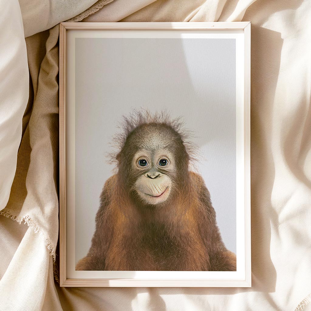 CHEEKY ORANGUTAN • Art print