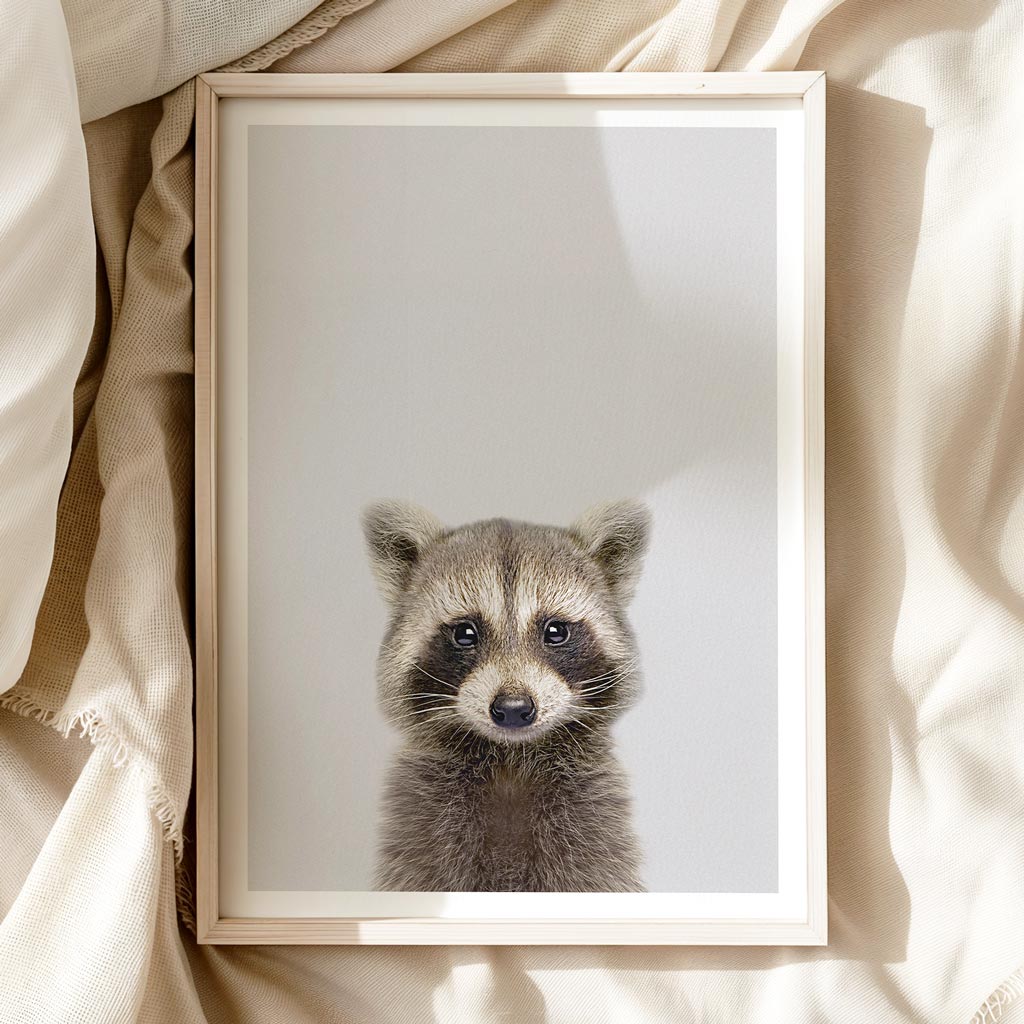 CURIOUS RACCOON • Art print