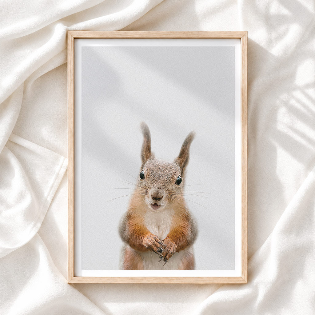 Red Squirrel - Nursery Animal Print