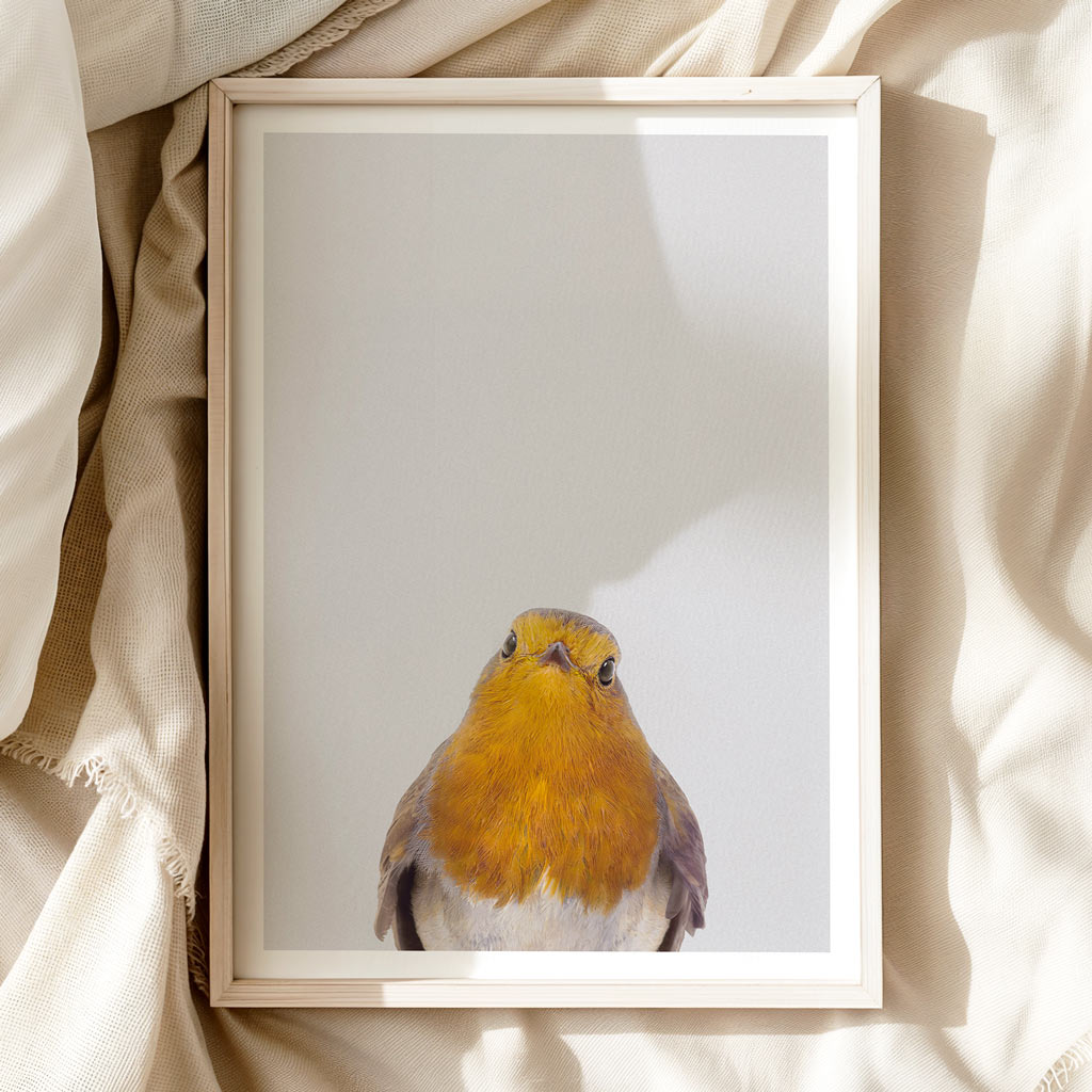 Robin Nursery Print - Charming Woodland Bird Art for Baby Rooms