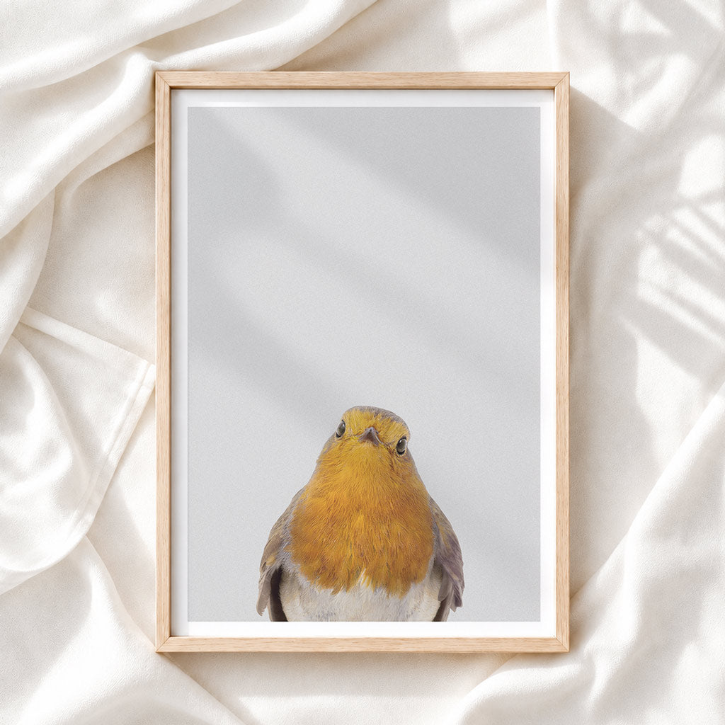 Robin Nursery Print - Charming Woodland Bird Art for Baby Rooms