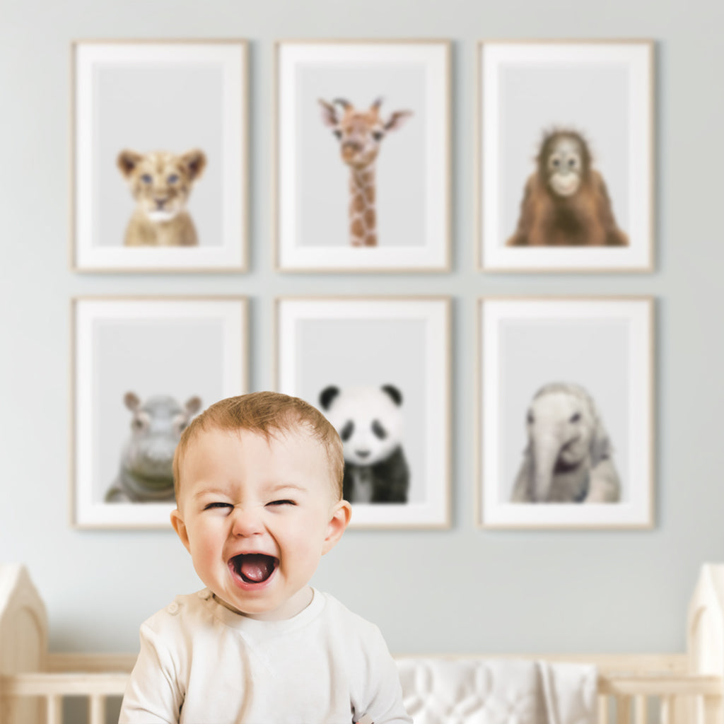 a set of 6 nursery animal prints in a child's room