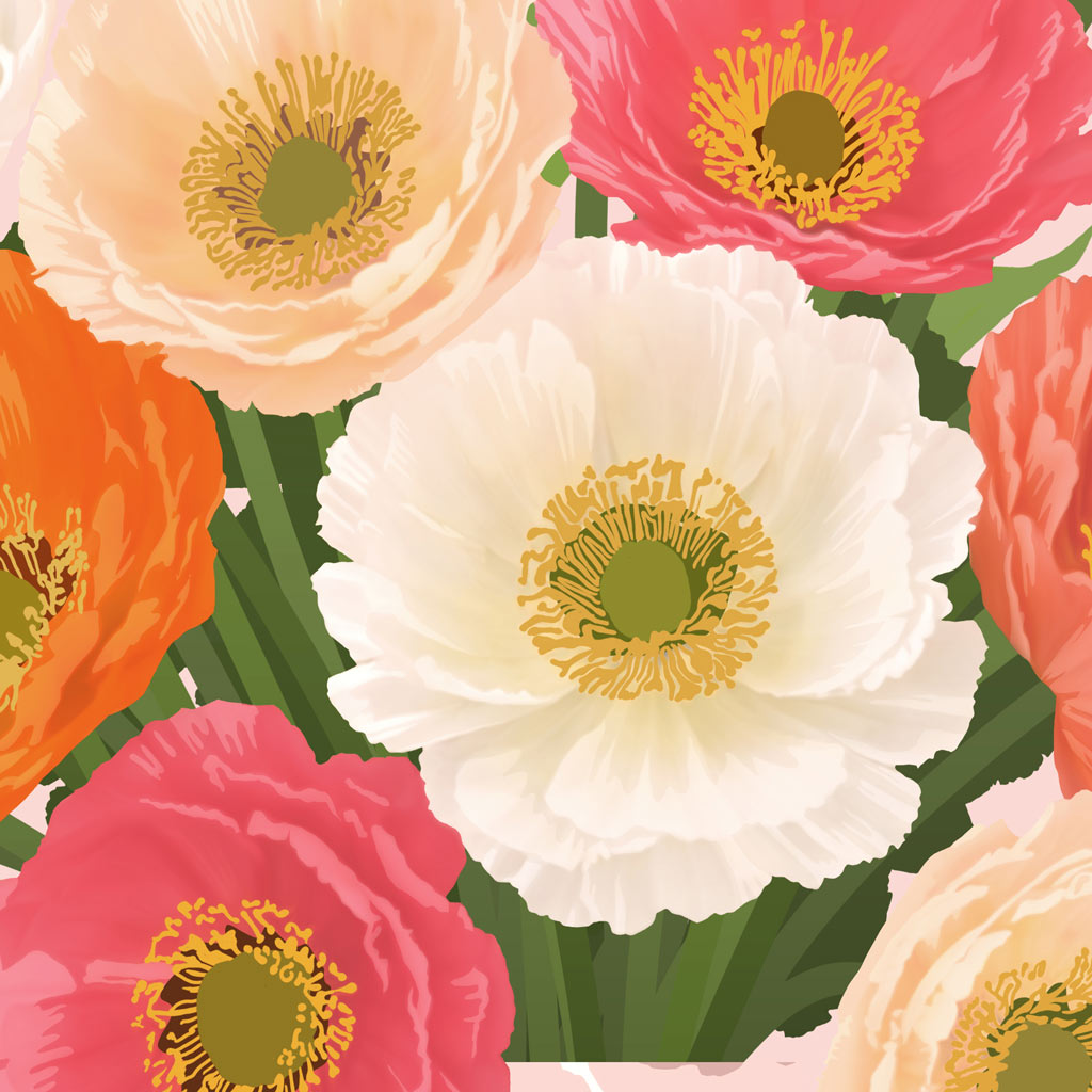ICELANDIC POPPIES • Art Print