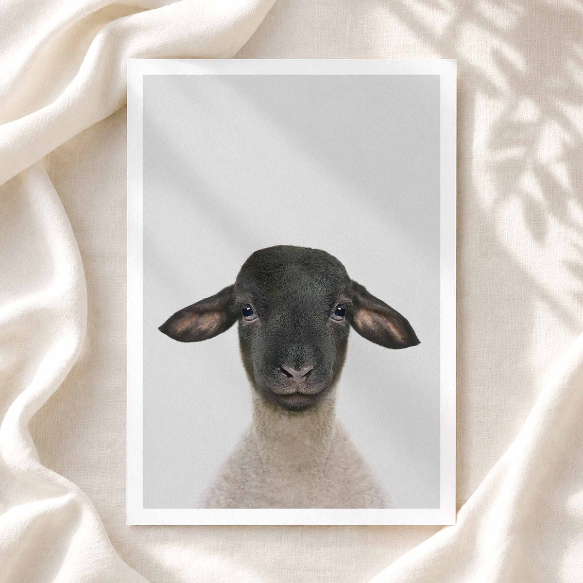 Suffolk Sheep - Nursery Animal Print