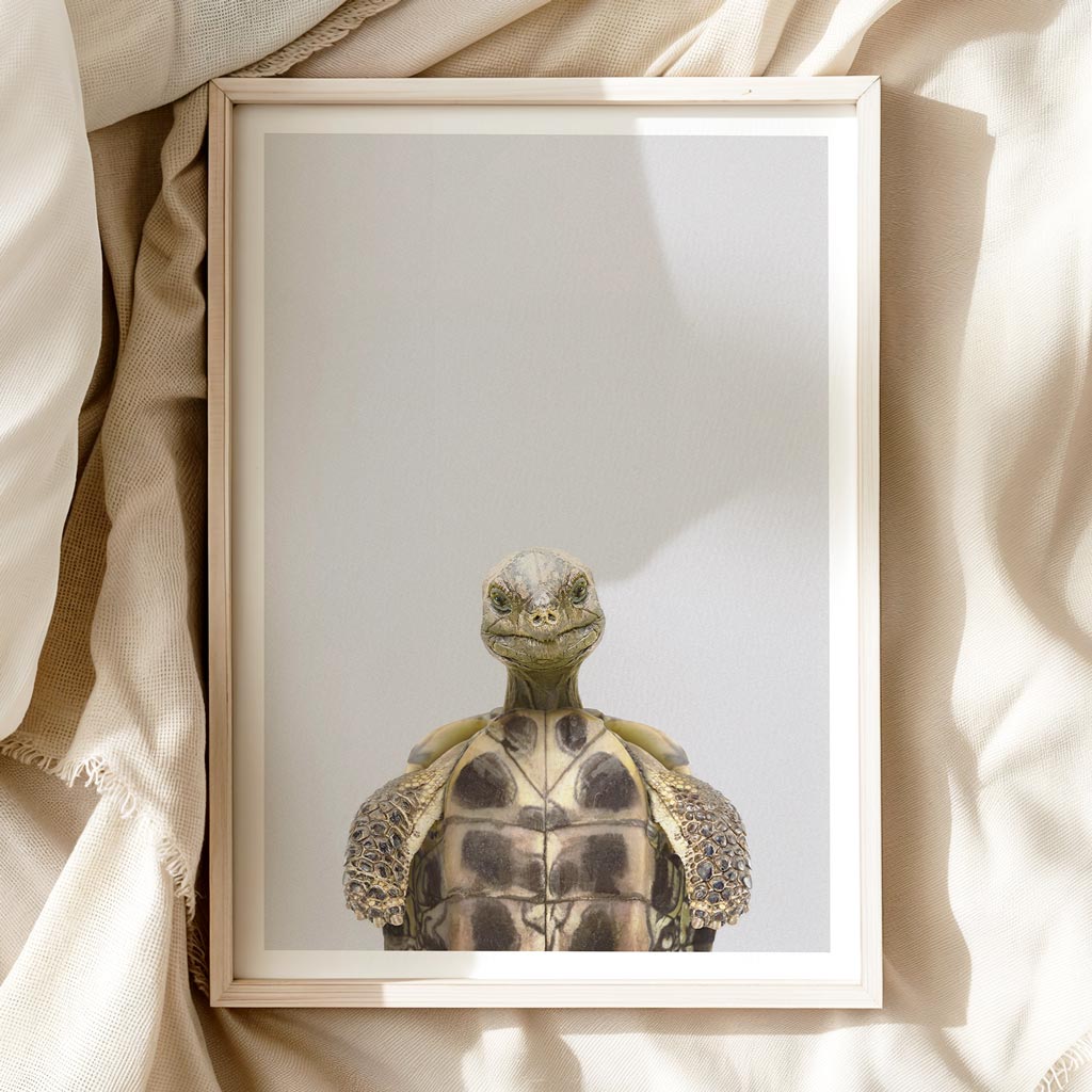 Tortoise Nursery Print - Calm Creature Wall Art for Children’s Rooms