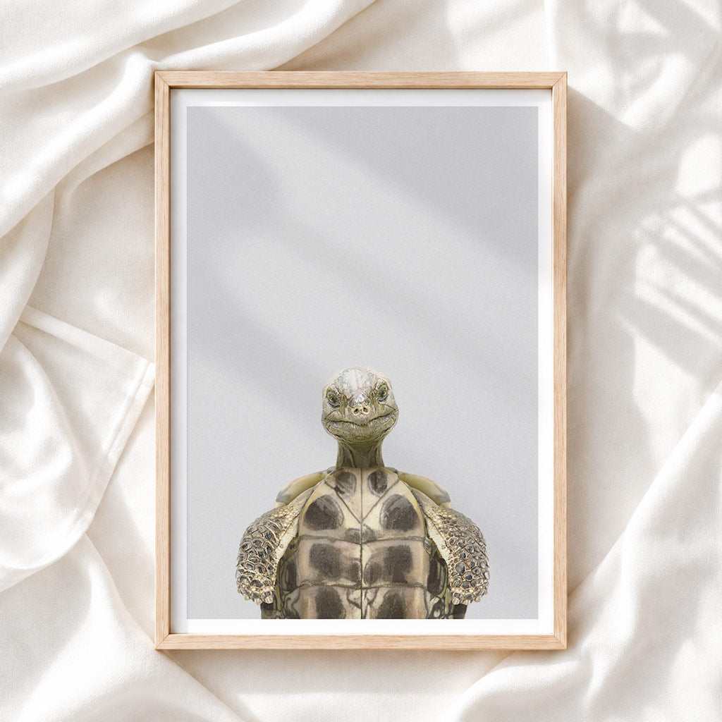 Tortoise Nursery Print - Calm Creature Wall Art for Children’s Rooms