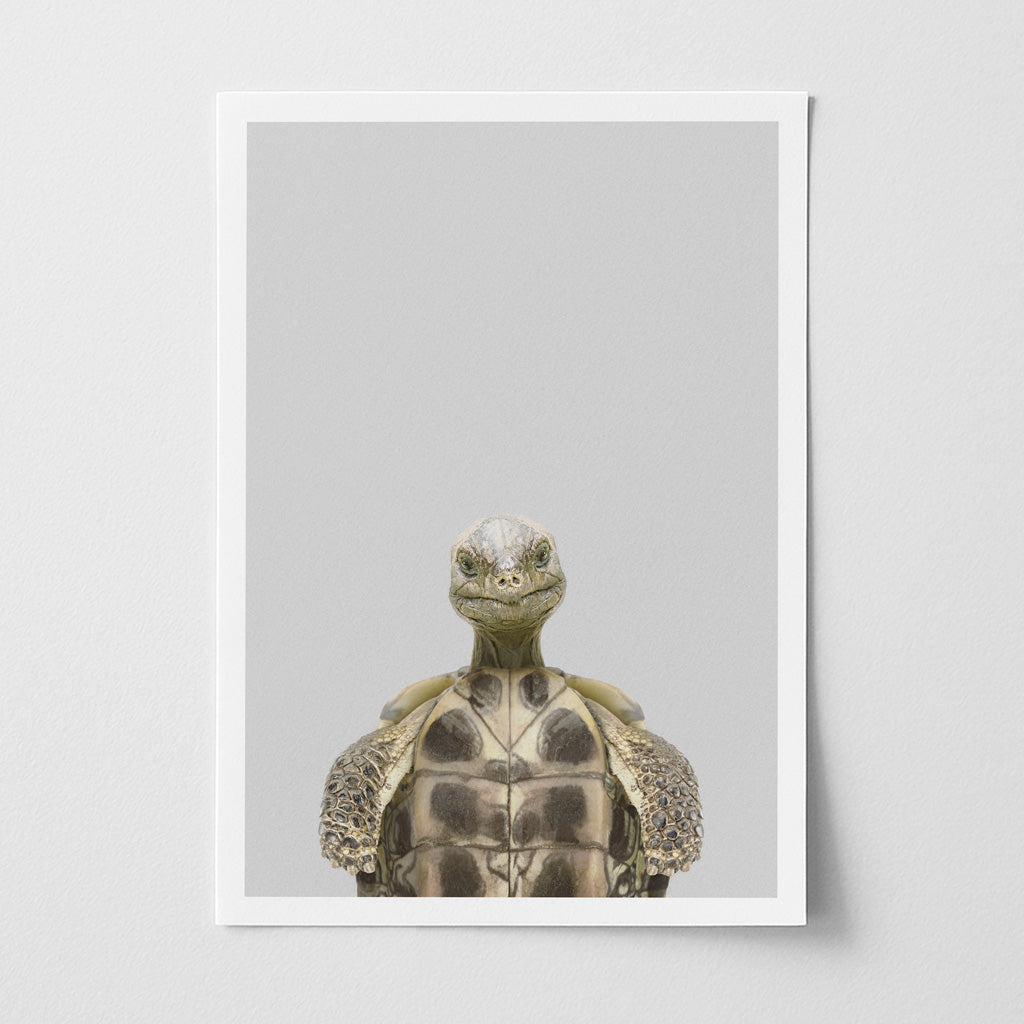 Tortoise Nursery Print - Calm Creature Wall Art for Children’s Rooms