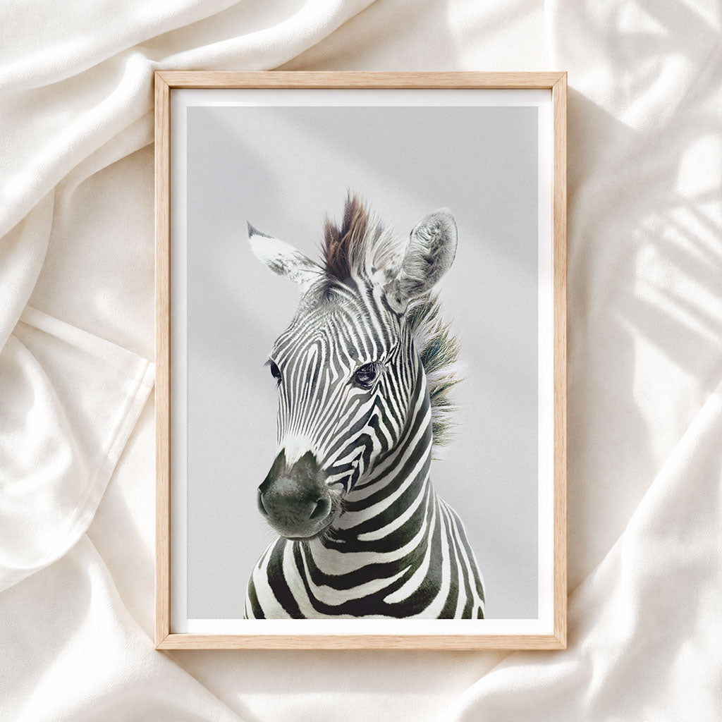 Zebra - Nursery Animal Print