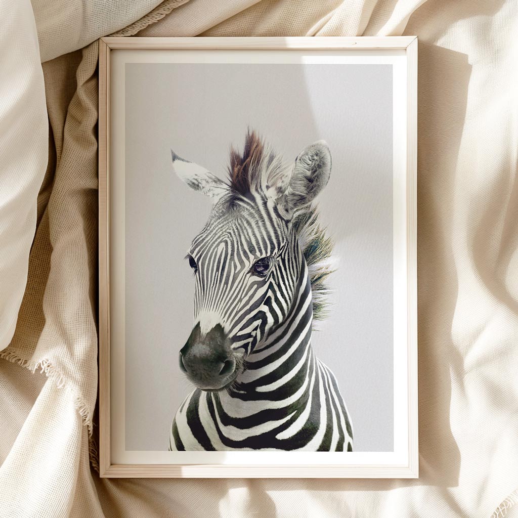 Zebra Wall Art Print