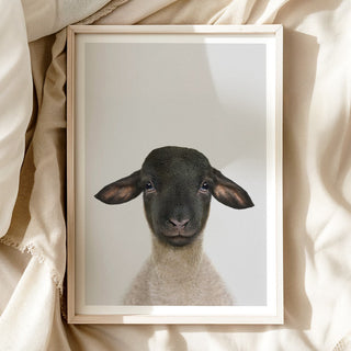 Kind Suffolk Lamb Nursery Print – Farm Nursery Wall Art