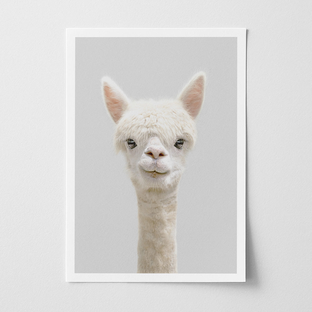 Alpaca Nursery Print - Gentle Farm Animal Wall Art for Kids