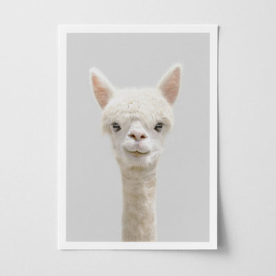 Alpaca Nursery Print - Gentle Farm Animal Wall Art for Kids