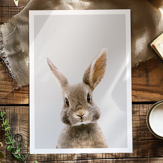 Brown Rabbit Art Print