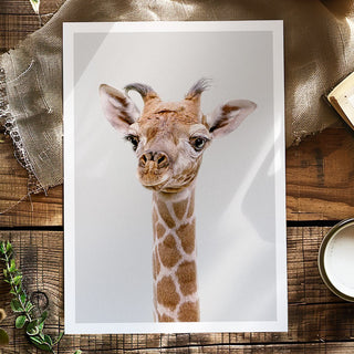 Giraffe Art Print