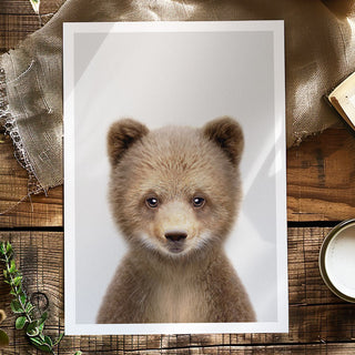 Brown Bear Cub Art Print