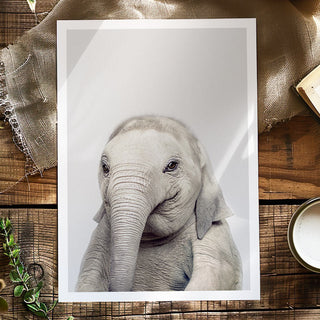 Elephant Art Print