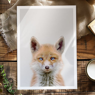 Fox Art Print