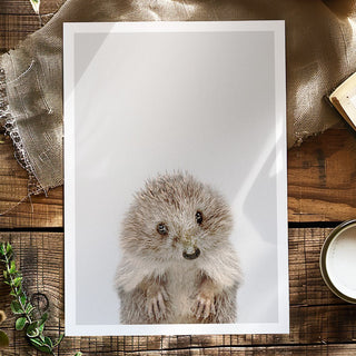 Hedgehog Art Print