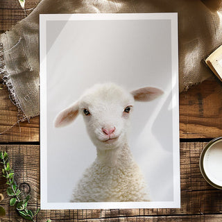 Lamb Art Print