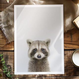 Raccoon Art Print