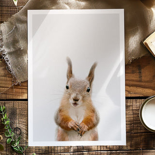 Red Squirrel Art Print