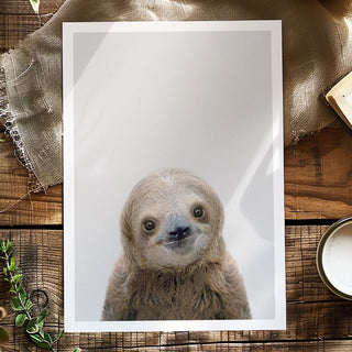 Sloth Art Print