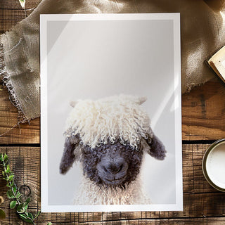 Black Nose Sheep Art Print