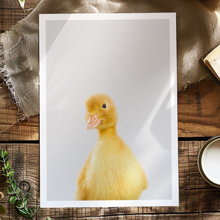 Yellow Duckling Art Print