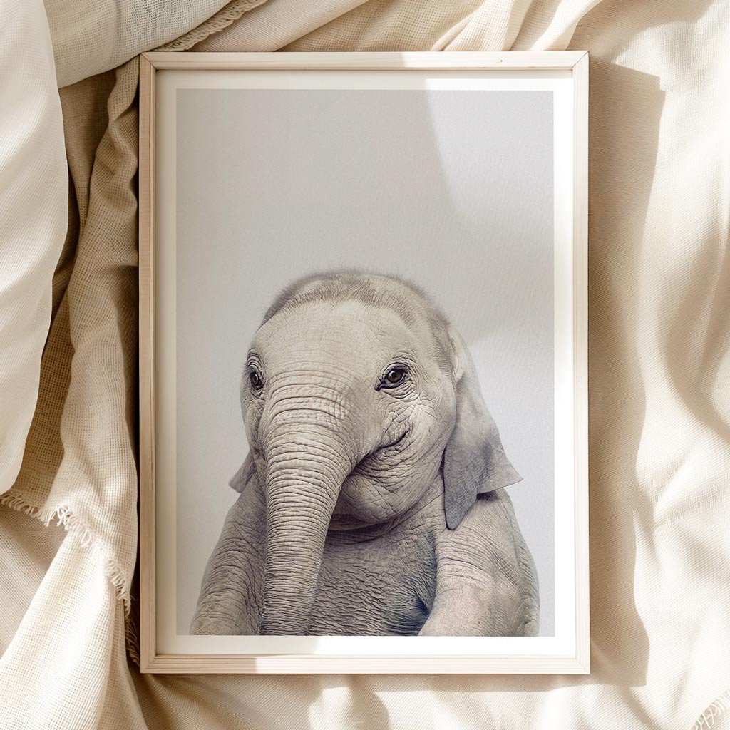 BABY ELEPHANT • Art print