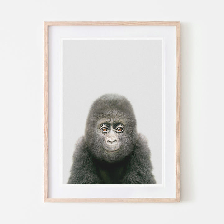 art print of a baby gorilla