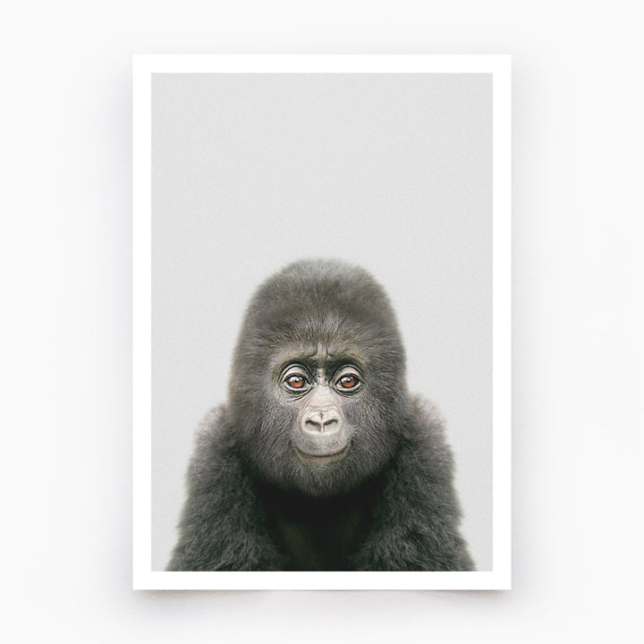 Baby Gorilla Art Print