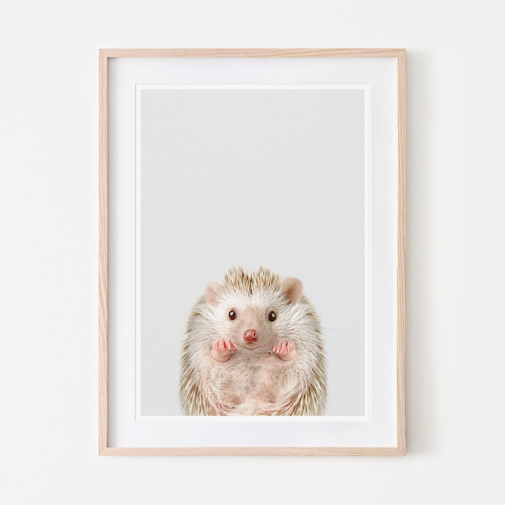 art print of a baby hedgehog