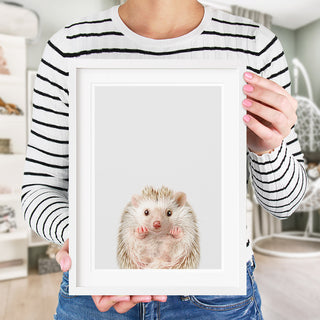 baby hedgehog wall art