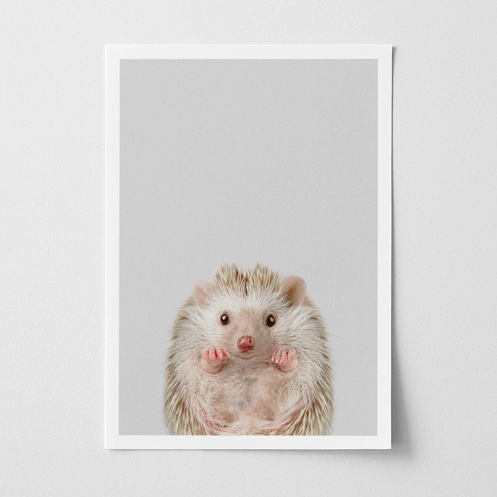 Baby Hedgehog Nursery Print - Sweet Woodland Animal Artwork for Toddlers