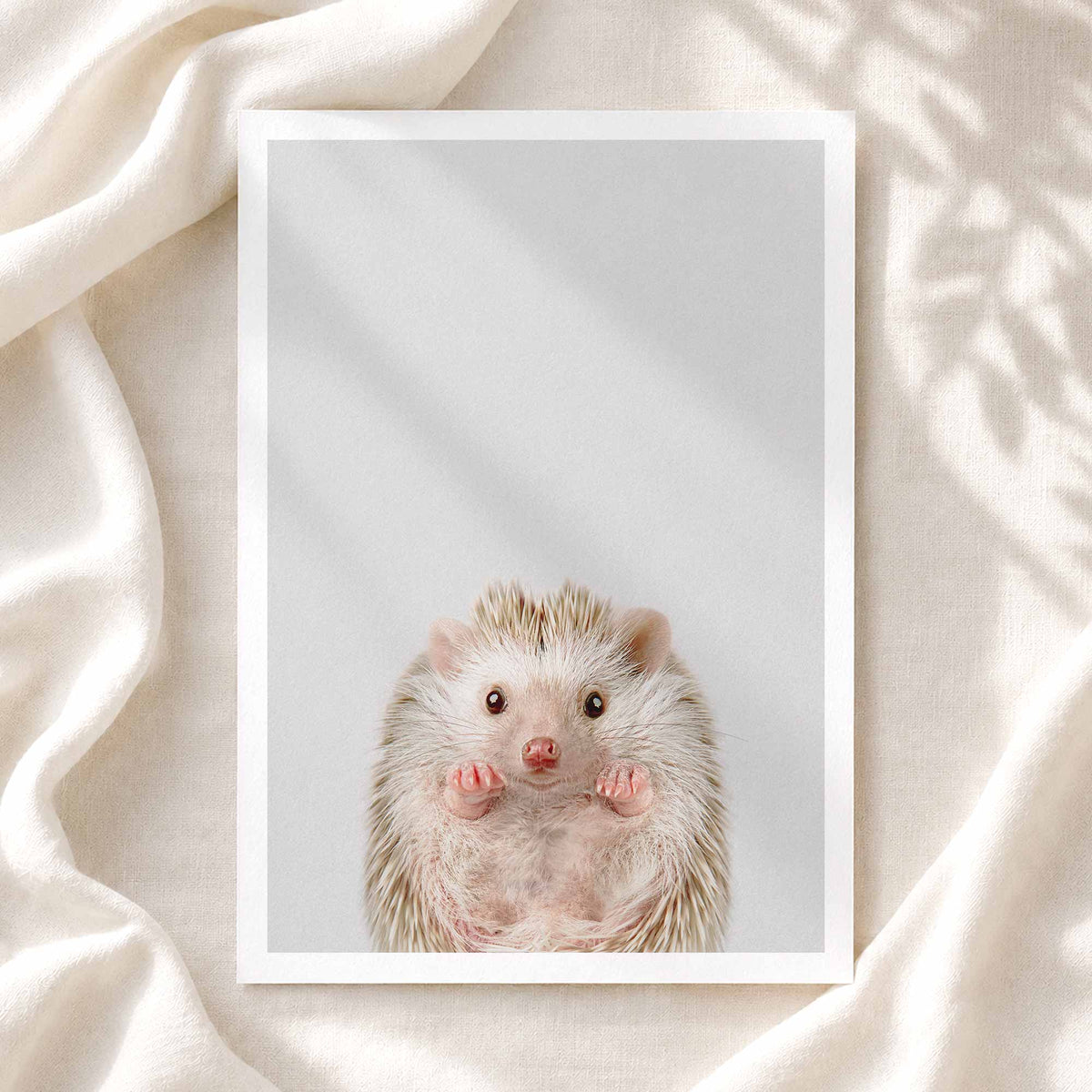 Baby Hedgehog - Nursery Animal Print