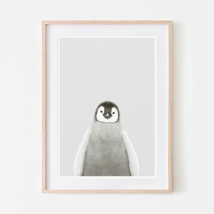 art print of a baby penguin